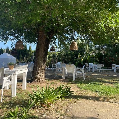 Alma Zahora Hotel Barbate Ngoại thất bức ảnh